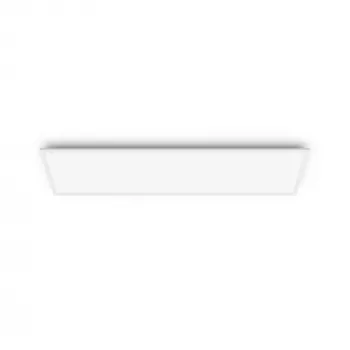 Laelamp Philips Functional Panel 36 W LED ristkülikukujuline 300×1200×42 mm, valge