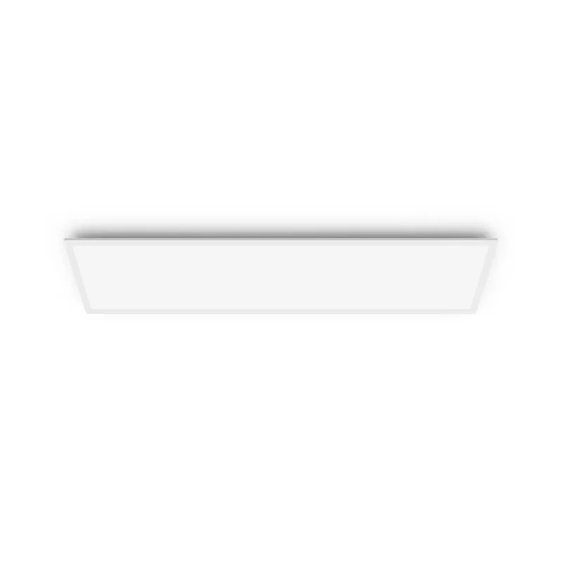 Laelamp Philips Functional Panel 36 W LED ristkülikukujuline 300×1200×42 mm, valge