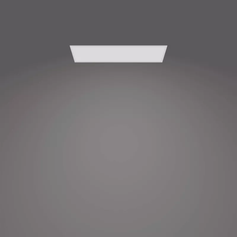 Laelamp Philips Functional Panel 36 W LED ristkülikukujuline 300×1200×42 mm, valge