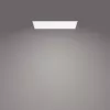 Laelamp Philips Functional Panel 36 W LED ristkülikukujuline 300×1200×42 mm, valge