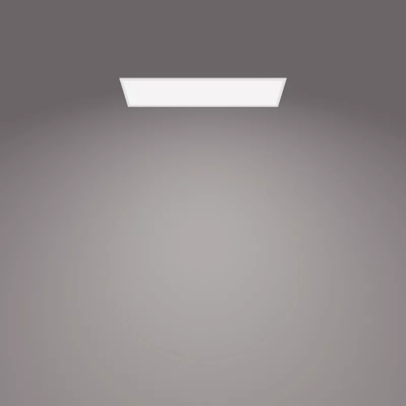 Laelamp Philips Functional Panel 36 W LED ristkülikukujuline 300×1200×42 mm, valge