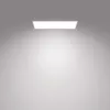 Laelamp Philips Functional Panel 36 W LED ristkülikukujuline 300×1200×42 mm, valge