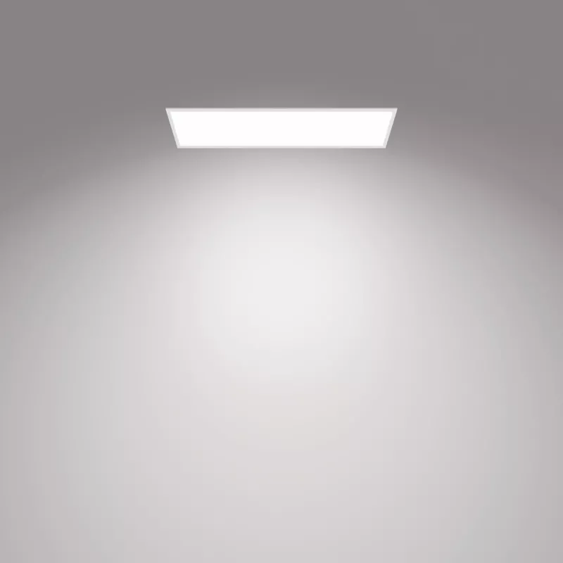 Laelamp Philips Functional Panel 36 W LED ristkülikukujuline 300×1200×42 mm, valge