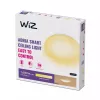 Nutikas laelamp Wiz Adria Ceiling 17 W — Wi‑Fi/Bluetooth, 320×68 mm, valge