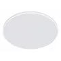 Laevalgusti Philips Functional Ozziet 36 W LED, ümmargune 500 mm, valge, fikseeritud sisseehitatud lamp