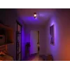 Philips Hue Valge and colour ambience Centris 2-spot laelamp