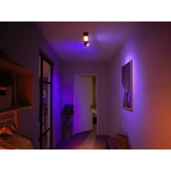 Philips Hue Valge and colour ambience Centris 2-spot laelamp