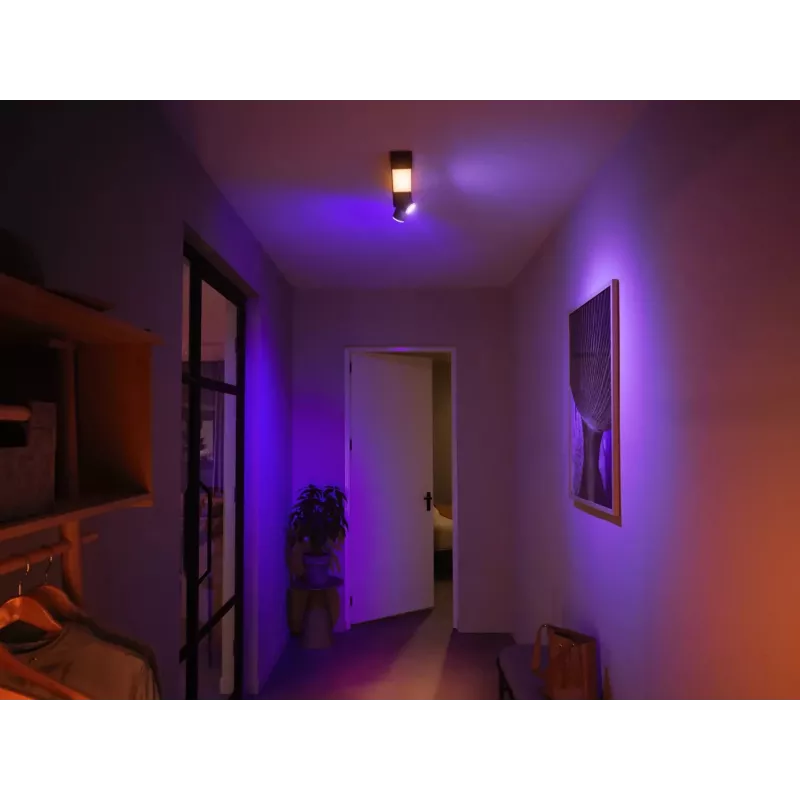 Philips Hue Valge and colour ambience Centris 2-spot laelamp