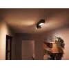 Philips Hue Valge and colour ambience Centris 2-spot laelamp