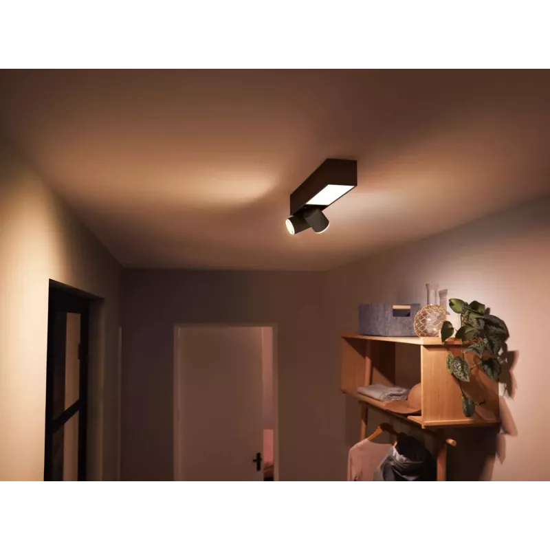 Philips Hue Valge and colour ambience Centris 2-spot laelamp