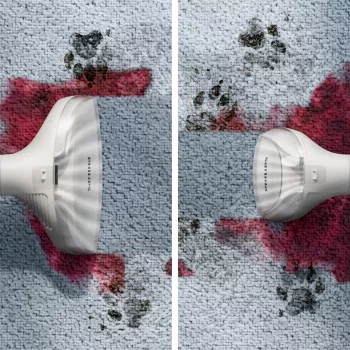 Philips 3000 seeria XW3193/11 tolmuimeja silindertolmuimeja märg 400 W kotivaba
