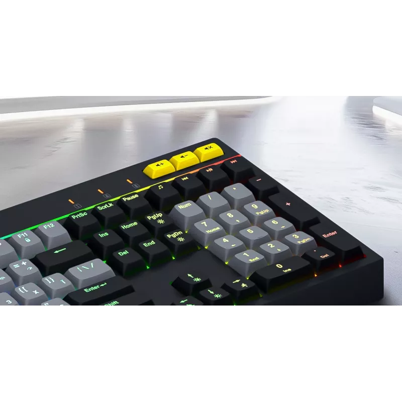 HATOR Icefall klaviatuur mängurile USB QWERTY US English must RGB LED