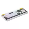 HATOR Icefall klaviatuur mängurile USB QWERTY USA inglise valge täissuuruses RGB LED