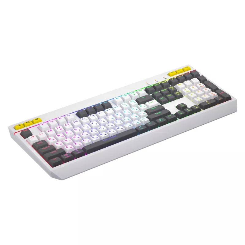 HATOR Icefall klaviatuur mängurile USB QWERTY USA inglise valge täissuuruses RGB LED