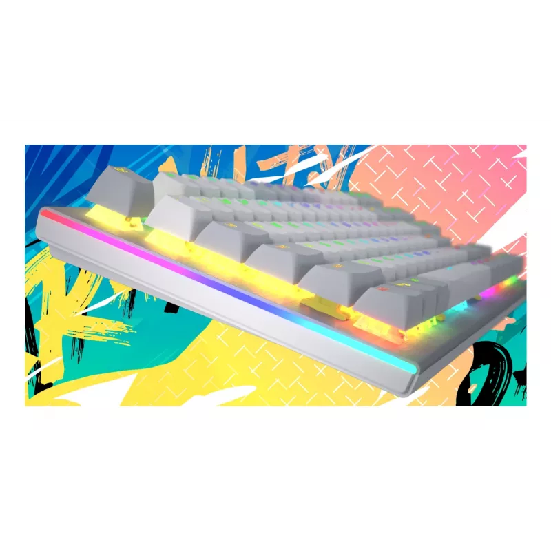 HATOR Gravity X TKL klaviatuur Mängimine USB QWERTY USA inglise Valge