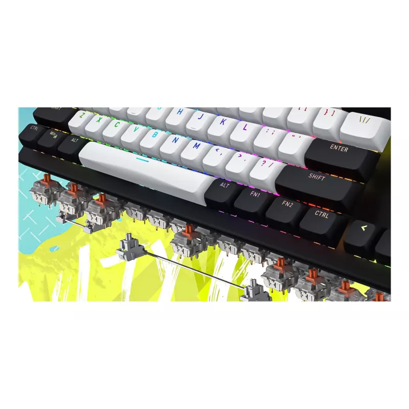HATOR Gravity TKL klaviatuur Mängimine USB QWERTY USA inglise keel Valge