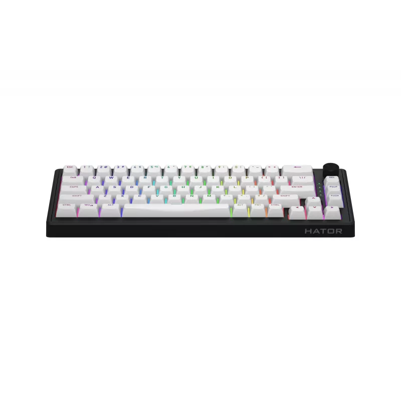 HATOR Skyfall 65 MAG ULTRA 8K klaviatuur Mängimine USB QWERTY USA inglise Must, Valge