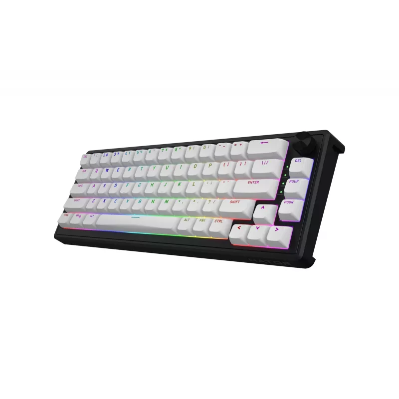 HATOR Skyfall 65 MAG ULTRA 8K klaviatuur Mängimine USB QWERTY USA inglise Must, Valge