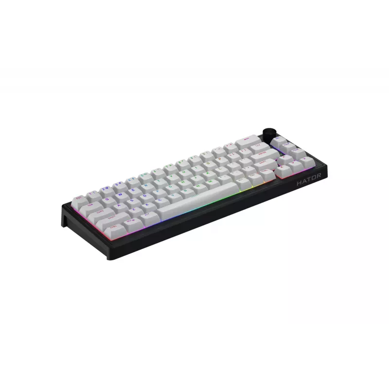 HATOR Skyfall 65 MAG ULTRA 8K klaviatuur Mängimine USB QWERTY USA inglise Must, Valge