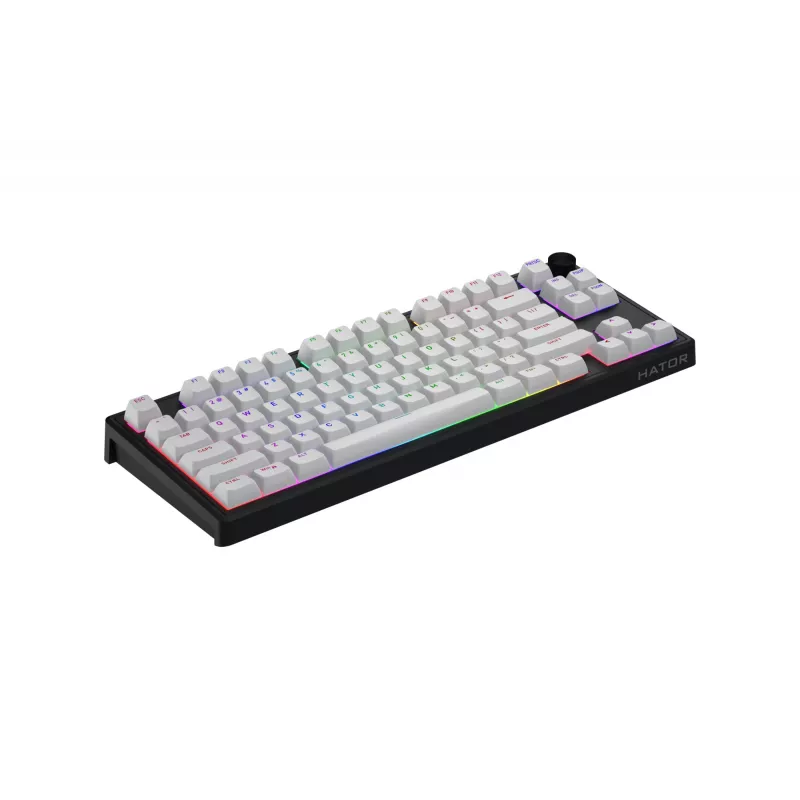 HATOR Skyfall 80 MAG ULTRA 8K klaviatuur Mängimine USB QWERTY USA inglise Must, Valge