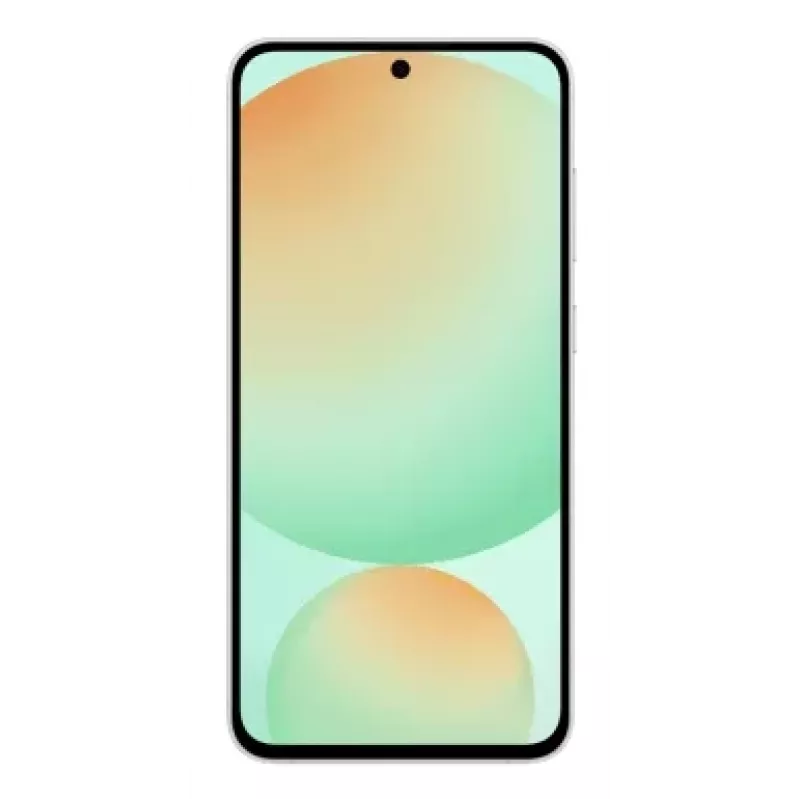 Samsung Galaxy S24 FE 17 cm (6.7 tolli) Dual SIM Android 14 5G USB USB-C 8 GB 256 GB 4700 mAh Mündivärv
