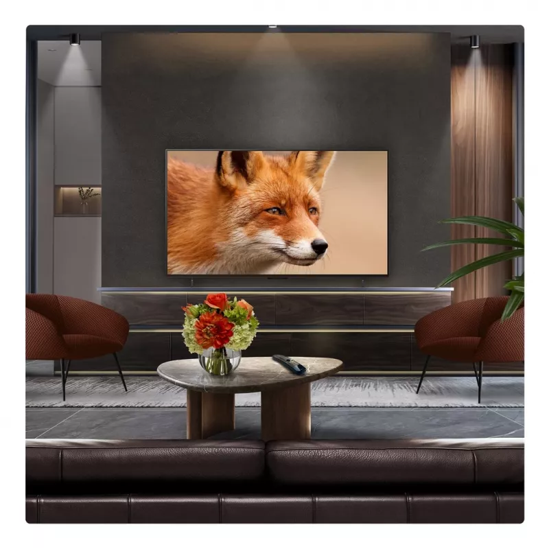 LG OLED evo AI 48-tolline C5 4K nutiteler