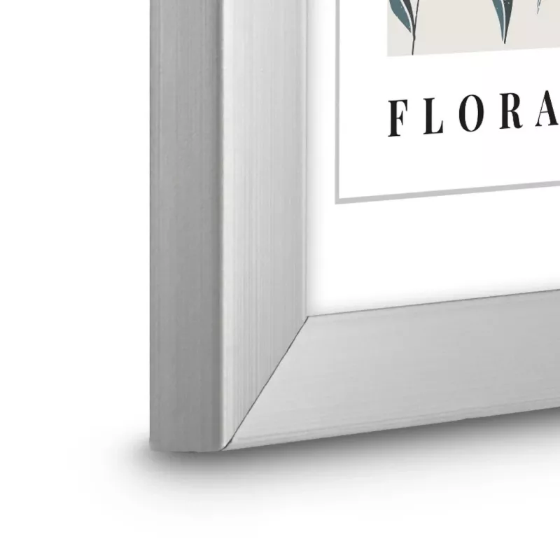 Hama Flora üksik pildiraam Hõbedane