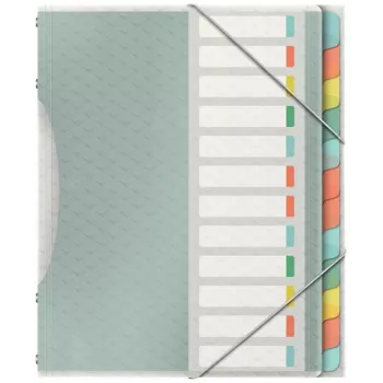 Esselte Colour'Breeze ärajaotajaraamat 12 vahelehega, mitmevärviline, polüpropüleen (PP), 266 mm, 20 mm, 370 g, 1 tk
