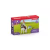 mängufiguur Schleich HORSE CLUB 42518