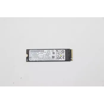 Lenovo 5SS0V26441 sisemine pooljuhtketas 256 GB M.2 PCI Express 3.0