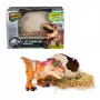 Jurassic World Primal Hatch Interaktiivne Mängudinosaurus ja Muna, Hatch & Train your own Baby Dino 100+ heli ja reaktsiooniga, laste mänguasjad poistele ja tüdrukutele alates 5. eluaastast
