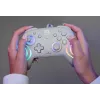 Juhtmega RGB mängukontroller Turtle Beach Afterglow Wave hall — USB‑C, 3 m kaabel, Nintendo Switch / Switch 2 / Switch OLED jaoks