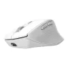 Juhtmevaba paremakäeline kontorihiir TRUST Niven — RF + Bluetooth, 3200 DPI, 7 nuppu, ratas, valge