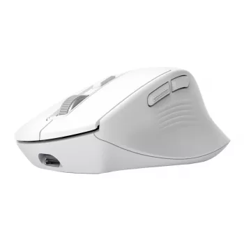 Juhtmevaba paremakäeline kontorihiir TRUST Niven — RF + Bluetooth, 3200 DPI, 7 nuppu, ratas, valge