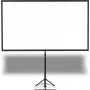 Epson Screen (80 inch Mobile X type16:9) - ELPSC21
