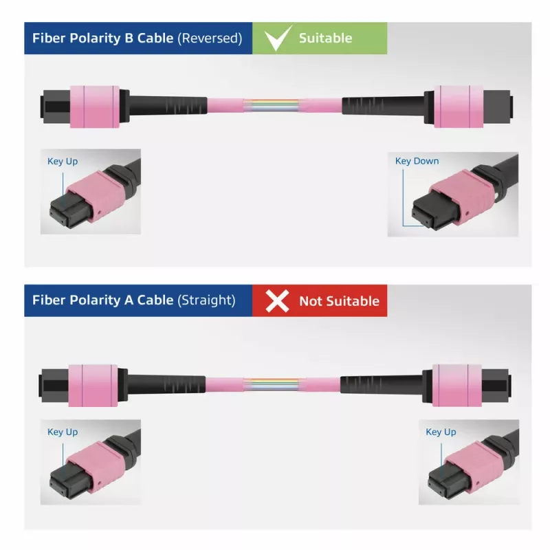 ACT DisplayPort-MTP/MPO adapterikomplekt DisplayPort-ühenduse pikendamiseks kuni 8K@60Hz