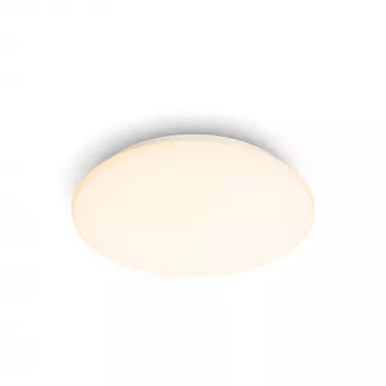 Philips Functional Moire laelamp 10 W, LED, mittevahetatav pirn(id), 2700 K, 1000 lm, IP20, valge