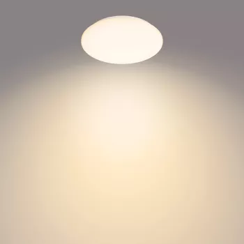 Philips Functional Moire laelamp 10 W, LED, mittevahetatav pirn(id), 2700 K, 1000 lm, IP20, valge