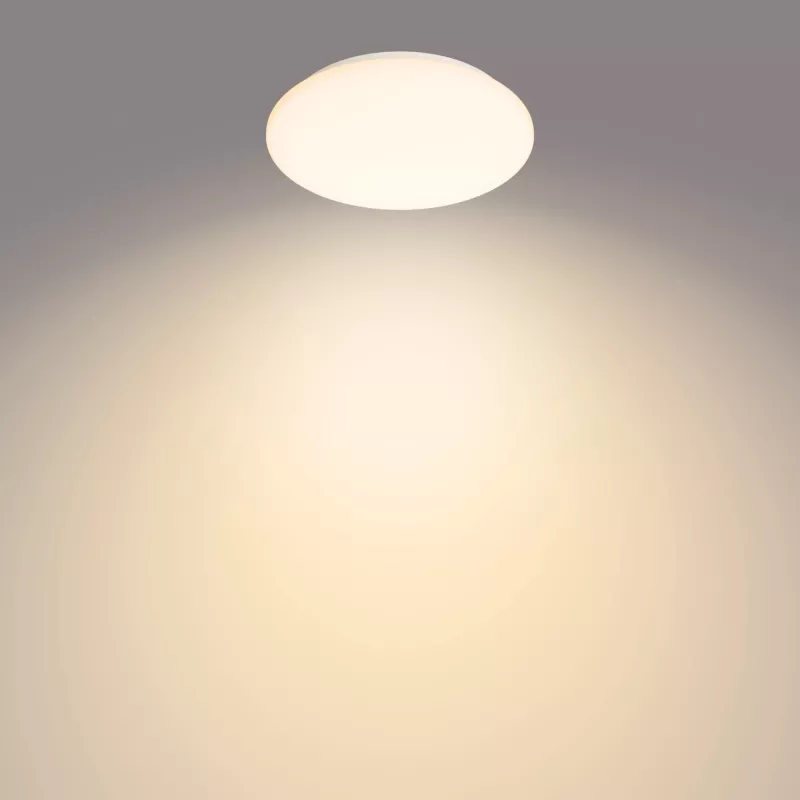 Philips Functional Moire laelamp 10 W, LED, mittevahetatav pirn(id), 2700 K, 1000 lm, IP20, valge