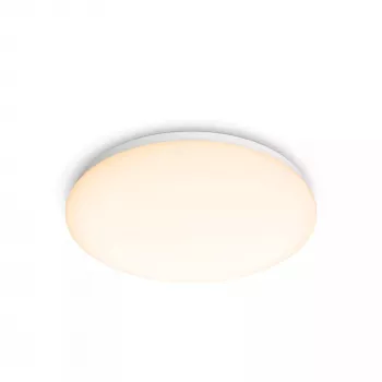 Philips Functional laevalgusti, LED, vahetamatu lambipirn(id), 2700 K, 1700 lm, IP20, valge