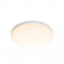 Philips Functional laevalgusti, LED, vahetamatu lambipirn(id), 2700 K, 1700 lm, IP20, valge