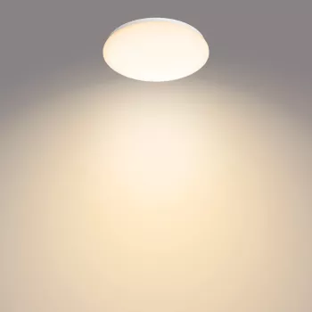 Philips Functional laevalgusti, LED, vahetamatu lambipirn(id), 2700 K, 1700 lm, IP20, valge