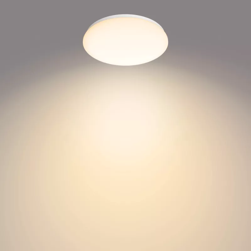 Philips Functional laevalgusti, LED, vahetamatu lambipirn(id), 2700 K, 1700 lm, IP20, valge