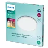 Laelamp Philips Functional Super õhuke 18 W LED, ümmargune, valge, mittevahetatav pirn, 220–240 V