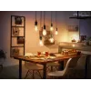Nutipirn Philips 1-pack ST72 E27 Filament Edison Bluetooth Zigbee