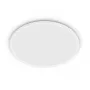 Philips Valen laevalgusti 16W, LED, IP20, valge