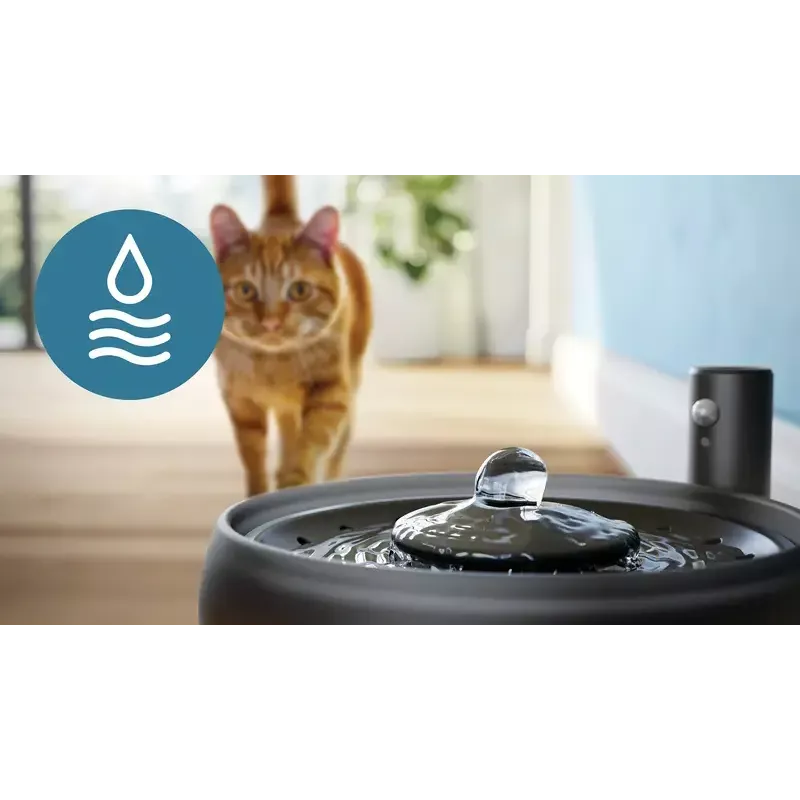 Automaatne lemmikloomavee purskkaev Philips 3000 seeria PAW3210/02, 2,2 L, USB / vahelduvvool, must, plastik