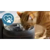 Automaatne lemmikloomavee purskkaev Philips 3000 seeria PAW3210/02, 2,2 L, USB / vahelduvvool, must, plastik