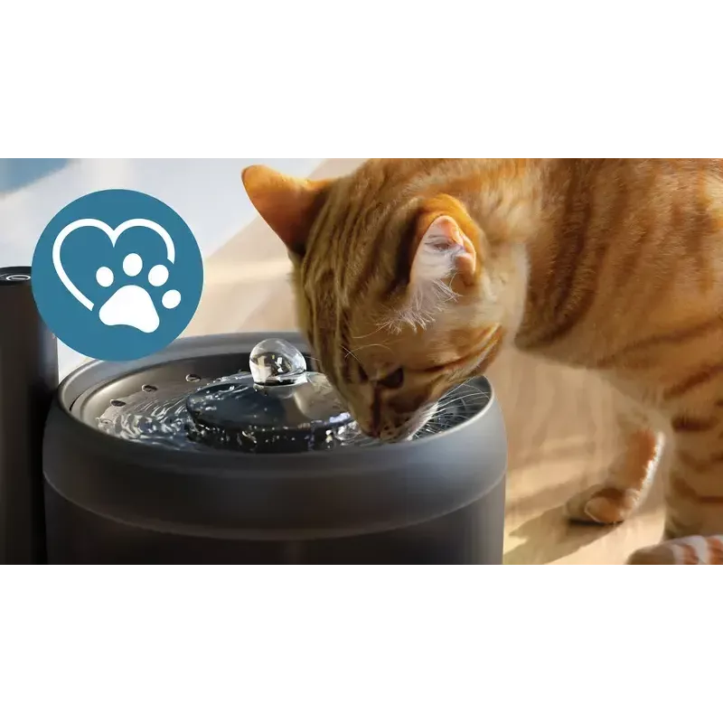 Automaatne lemmikloomavee purskkaev Philips 3000 seeria PAW3210/02, 2,2 L, USB / vahelduvvool, must, plastik