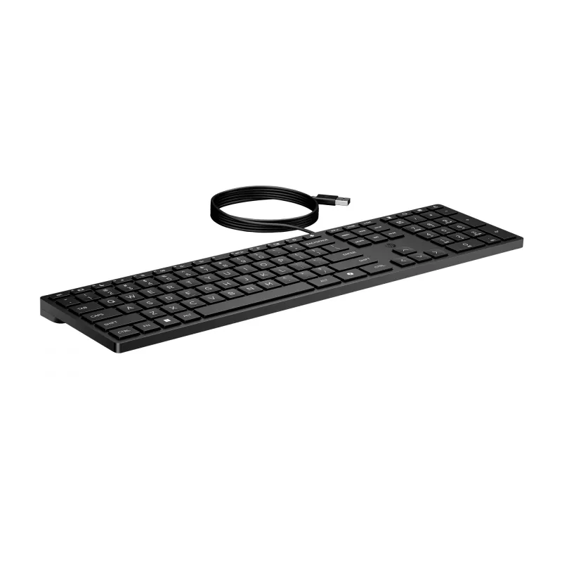 HP Wired Desktop 320K klaviatuur
